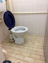 Blk 523 Bukit Batok Street 52 (Bukit Batok), HDB 3 Rooms #571733991